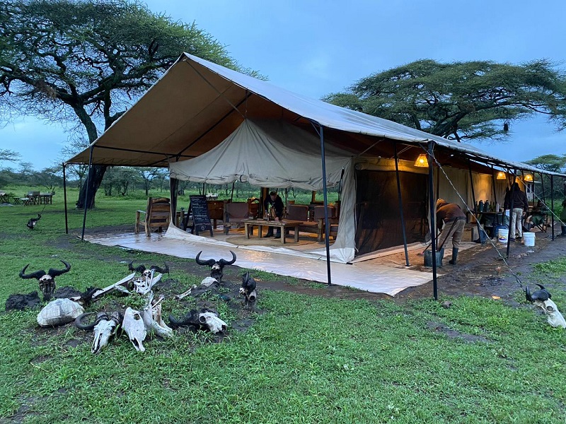 Luxury Camp